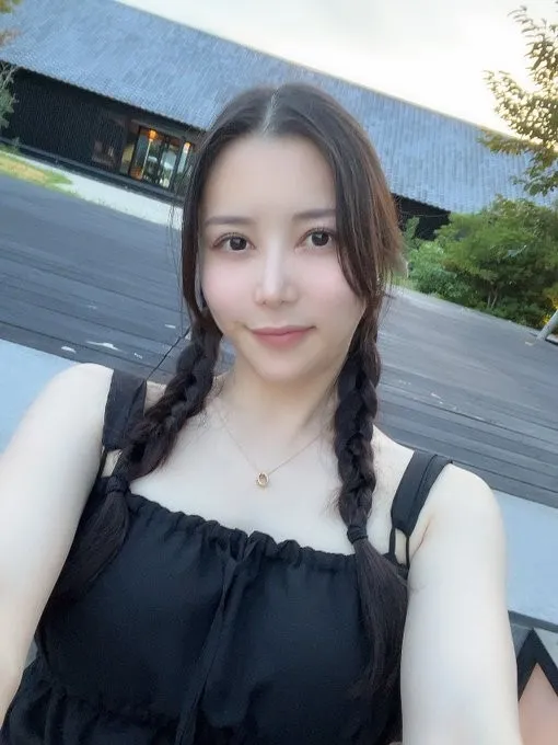 十二楼的灯 2026热播电视剧全集免费